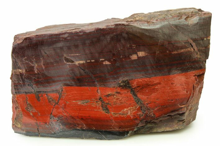 Polished Banded Iron Formation Section - Billion Years #325777